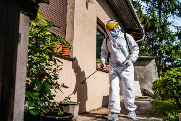 Bird Control in Pollock Pines, CA