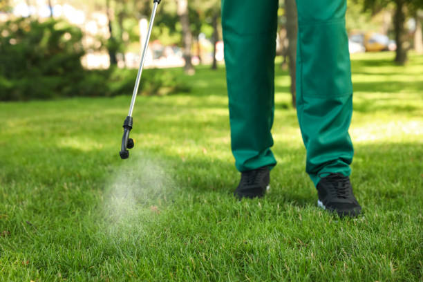 Best Termite Control Services  in Pollock Pines, CA