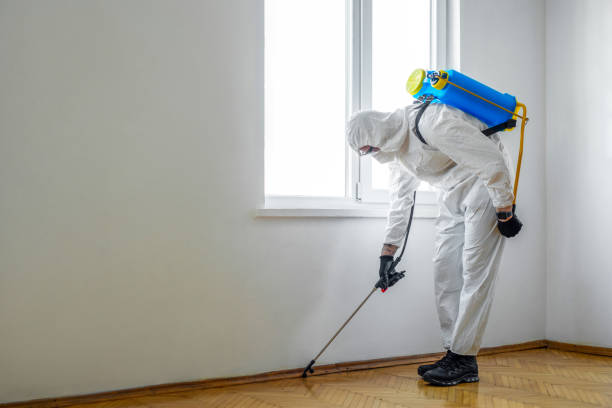 Best Pest Prevention Services  in Pollock Pines, CA