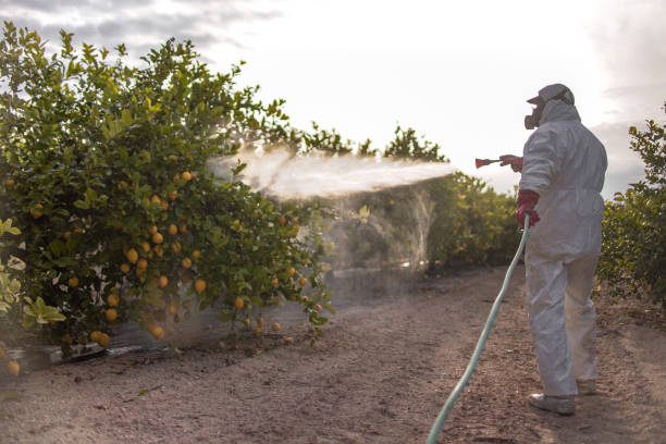 Best Ant Control Services  in Pollock Pines, CA