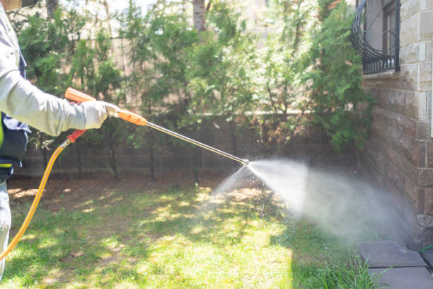 Best Exterminator Services  in Pollock Pines, CA