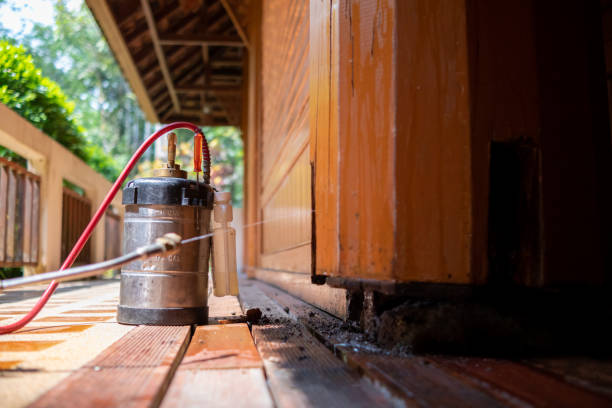 Best Pest Control Near Me  in Pollock Pines, CA